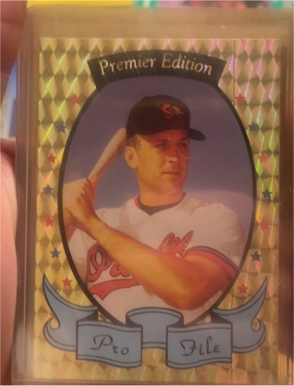 1992 National Sports Collector's Convention Premier Edition Pro File Mickey Mantle #10 — front