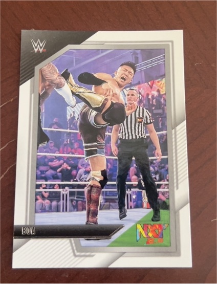 2022 Panini WWE NXT 2.0 #15 Boa — front