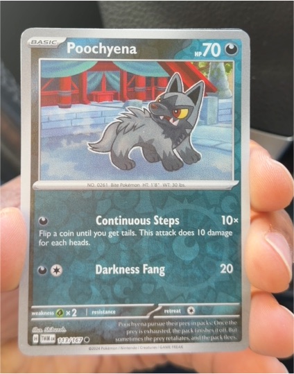 2024 Pokémon SV06: Twilight Masquerade #113 Poochyena — front