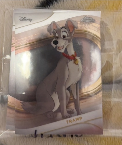 2025 Topps Chrome Disney #71 Tramp — front