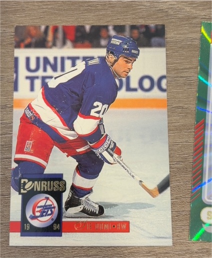 1993-94 Donruss #201 Teemu Selanne — front