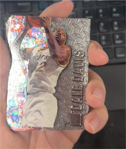 1996-97 Fleer Metal #40 Dale Davis — front
