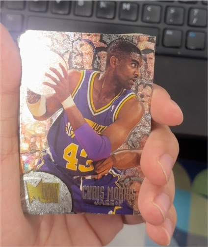 1995-96 Fleer Metal #201 Chris Morris — front