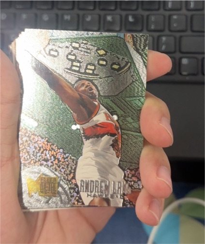1995-96 Fleer Metal #124 Andrew Lang — front