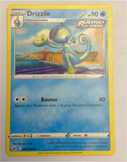 2021 Pokémon SWSH06: Chilling Reign #42 Drizzile — front