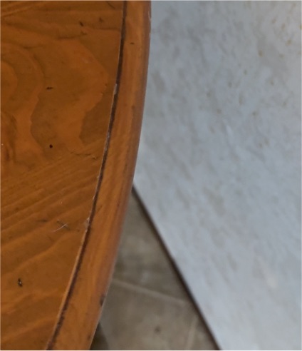 Antique bread board — front