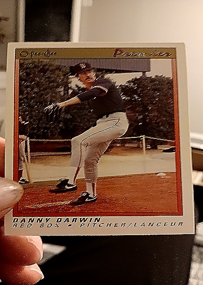 1991 O-Pee-Chee Premier #28 Danny Darwin — front