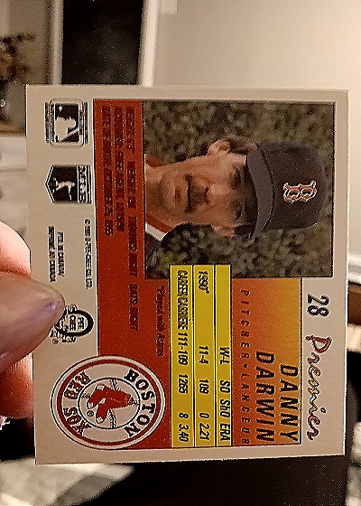 1991 O-Pee-Chee Premier #28 Danny Darwin — back
