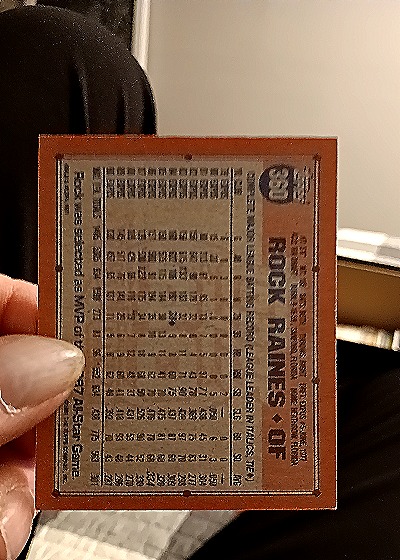 1991 Topps #360 Rock Raines — back