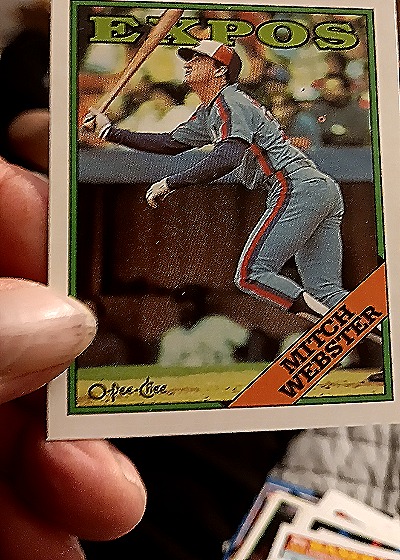1988 O-Pee-Chee #138 Mitch Webster — front