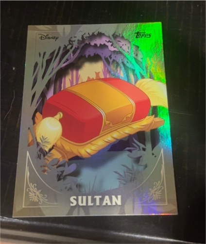 2025 Topps Disney Wonder Furry Friends #FF-11 Sultan — front