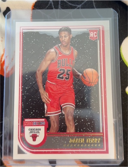 2022-23 Panini NBA Hoops #248 Dalen Terry — front