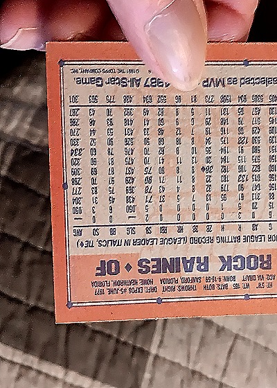 1991 Topps #360 Tim Raines — back
