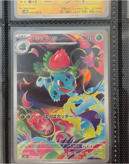 2025 Pokémon #065 Ivysaur — front