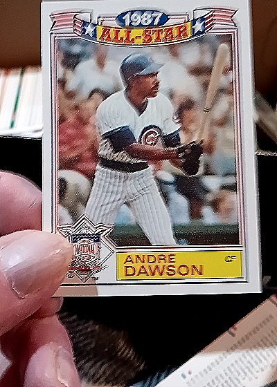 1987 Topps All-Star #Andre Dawson — front