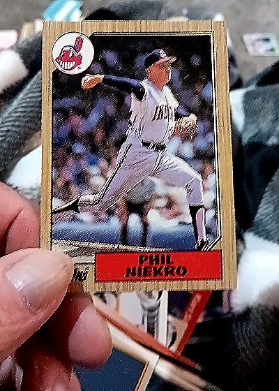 1976 Topps #440 Phil Niekro — front