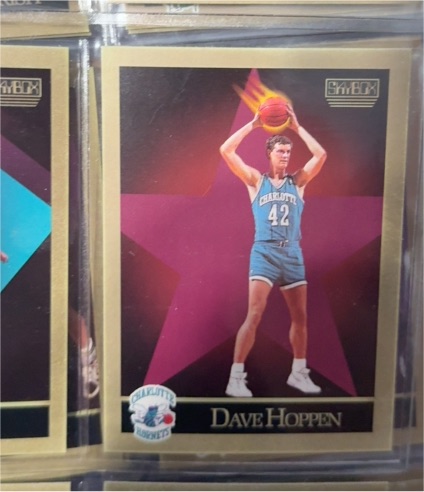 1990-91 Skybox #31 Dave Hoppen — front