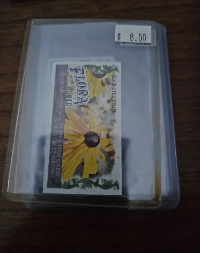 2011 Topps Allen & Ginter Mini Flora of the World #FOW-1 Black-Eyed Susan — front