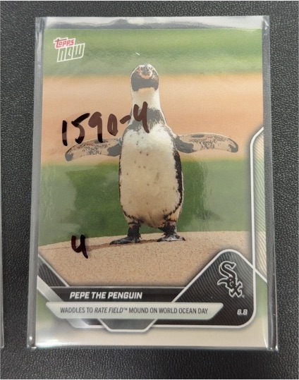 2025 Topps Now #276 Pepe the Penguin — front