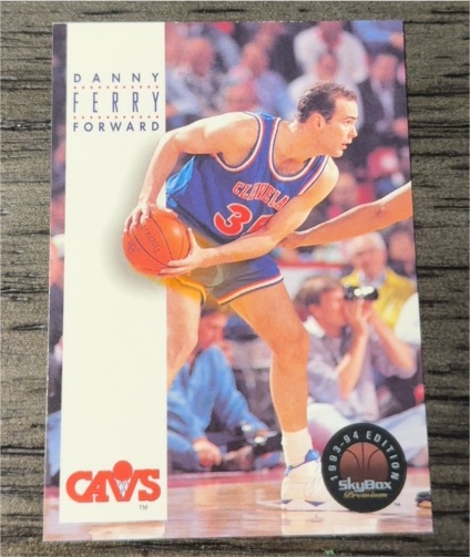 1993-94 SkyBox Premium #209 Danny Ferry — front