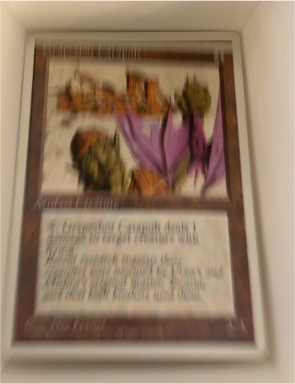 1994 Magic: The Gathering Grapefruit Catapult — front