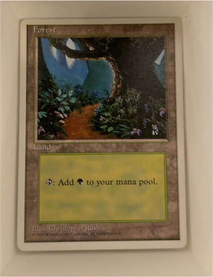 1994 Magic: The Gathering #286 Forest — front