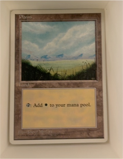 1993 Magic: The Gathering #289 Plains — front
