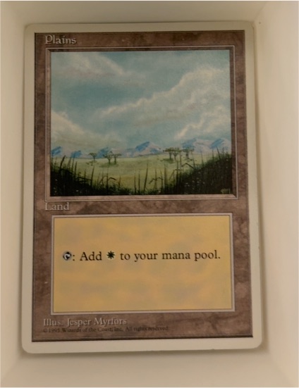 1993 Magic: The Gathering #289 Plains — front