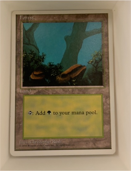 1995 Magic: The Gathering 4th Edition #378 Forest — front