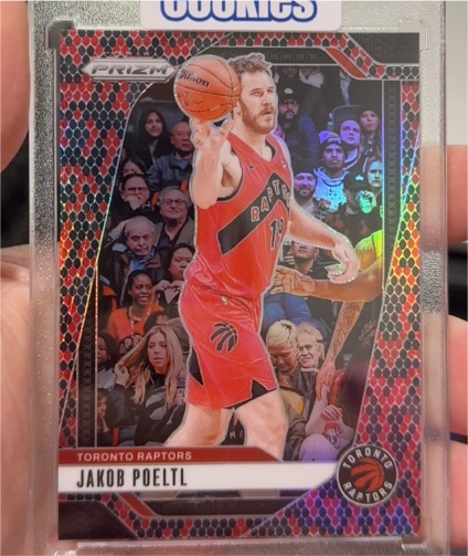 2024-25 Panini Prizm #198 Jakob Poeltl — front