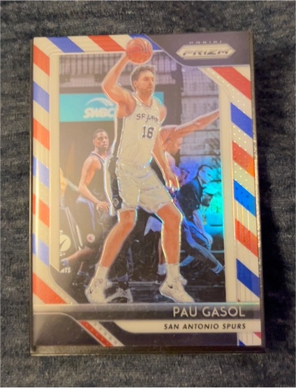2018-19 Panini Prizm #13 Pau Gasol — front