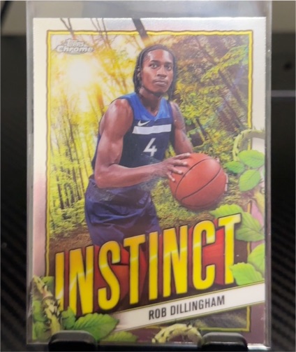 2024-25 Topps Chrome #INS-30 Rob Dillingham Instinct — front