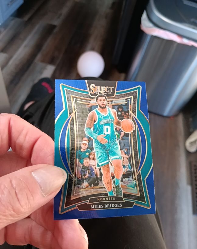 2024-25 Panini Select #8 Miles Bridges — front