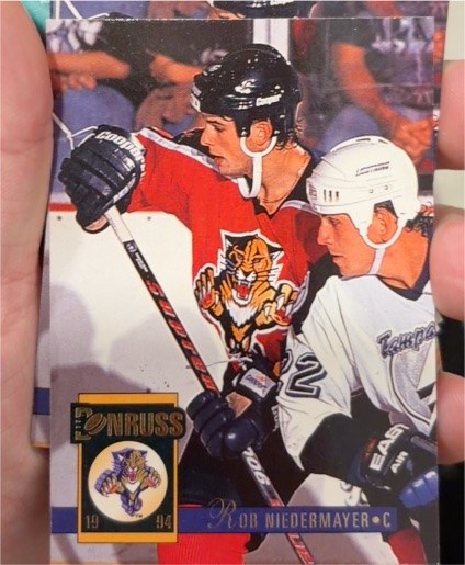 1993-94 Donruss #134 Rob Niedermayer — front