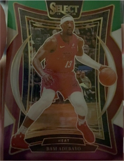 2024-25 Panini Select #15 Bam Adebayo — front