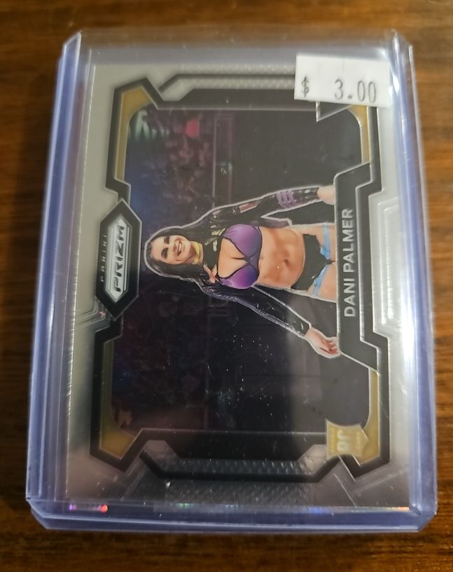2024 Panini Prizm WWE #68 Dani Palmer — front