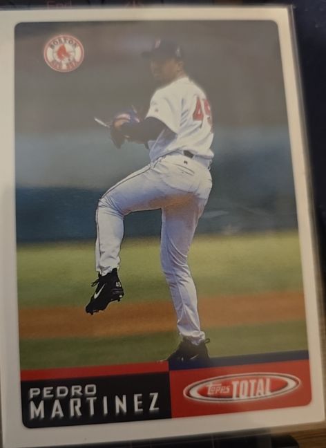 1993 Topps Total #45 Pedro Martinez — front