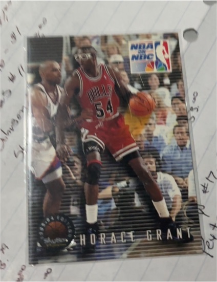 1993-94 SkyBox Premium #19 Horace Grant — front