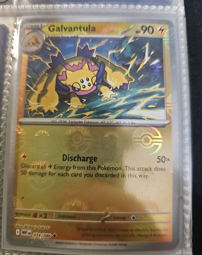 2023 Pokemon Scarlet & Violet #034 Galvantula — front