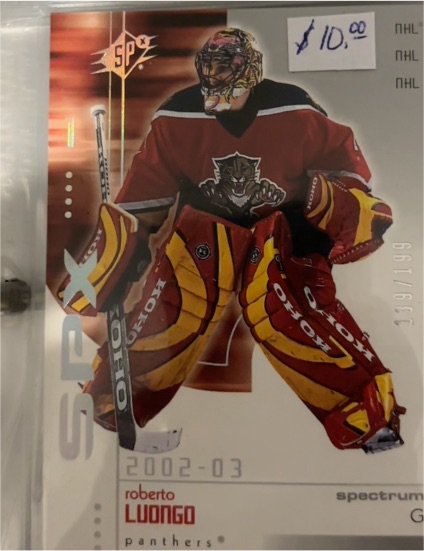 2002-03 SPx #34 Roberto Luongo — front
