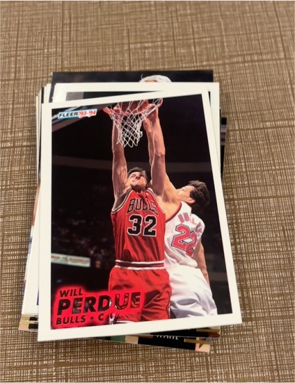 1993-94 Fleer #31 Will Perdue — front