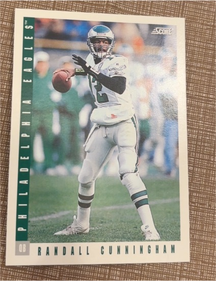 1993 Score #260 Randall Cunningham — front
