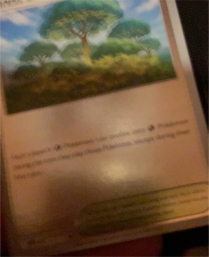 2025 Pokémon ME01: Mega Evolution #117 Forest of Vitality — front