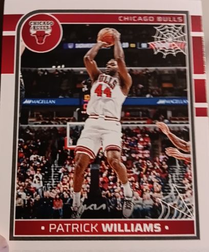 2024-25 Panini NBA Hoops Haunted Hoops #18 Patrick Williams — front
