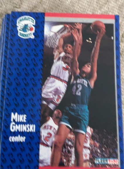 1991-92 Fleer #254 Mike Gminski — front