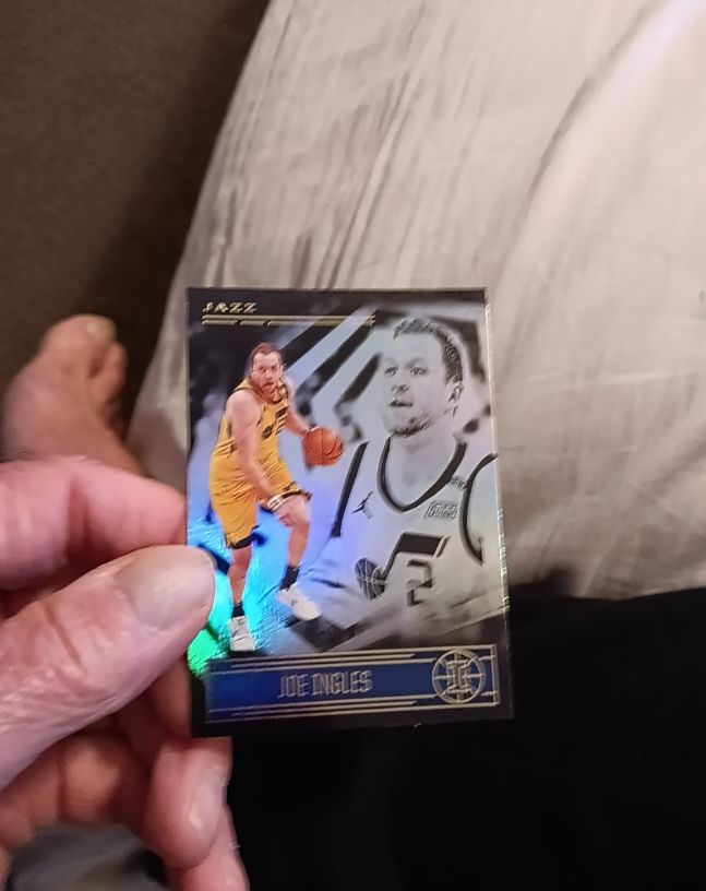 2020-21 Panini Illusions #129 Joe Ingles — front