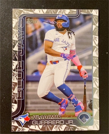 2025 Topps Series 1 #163 Vladimir Guerrero Jr. — front