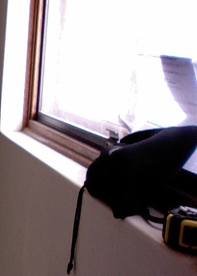 The Photographer's Assistant — front