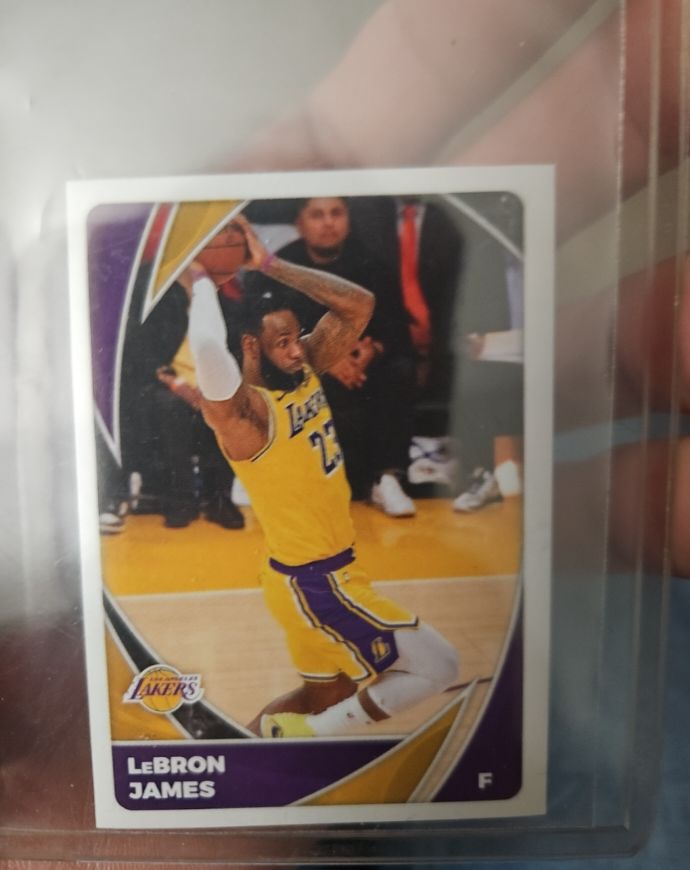 2020-21 Panini NBA Sticker & Card Collection #369 LeBron James — front