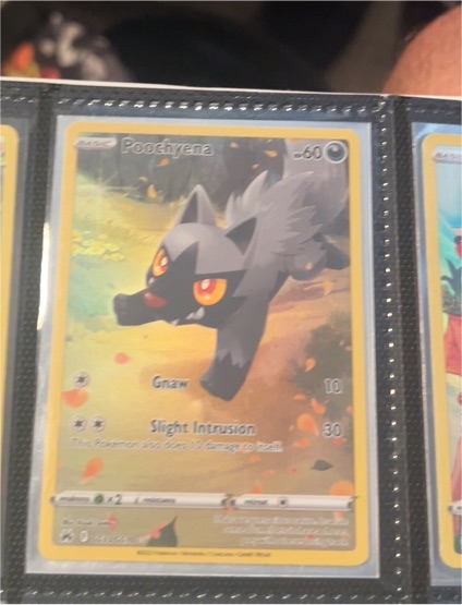 2023 Pokémon Sword & Shield Crown Zenith #GG33 Poochyena — front